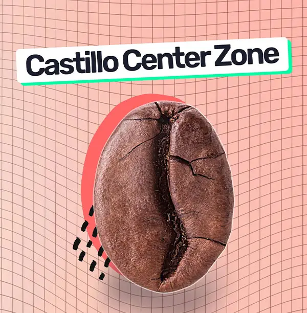 Castillo Center Zone