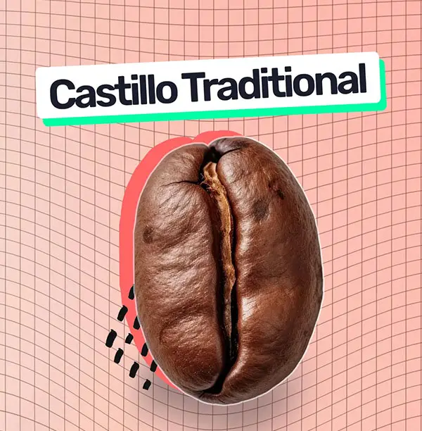 Castillo Tradicional