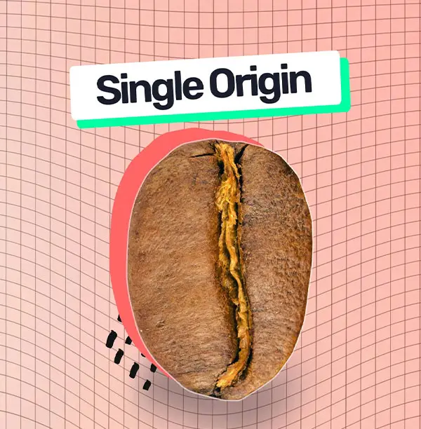 Single-Origin